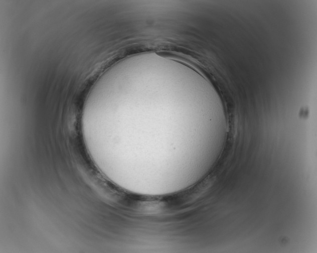 X0000116310266200912211929