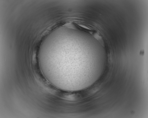 X0000116310267200912211929