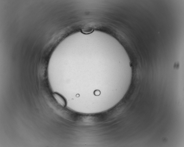 X0000116310268200912211929