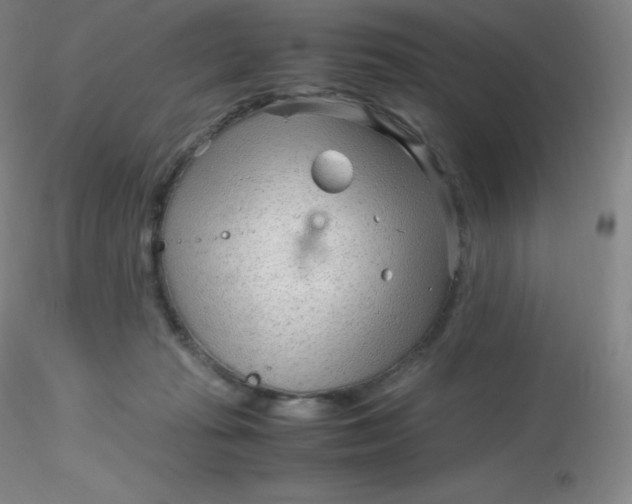 X0000116310269200912211929