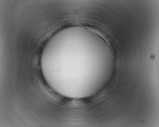 X0000116310270200912211929