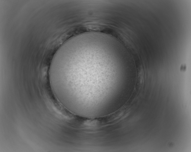 X0000116310271200912211929