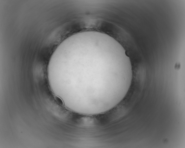 X0000116310272200912211929