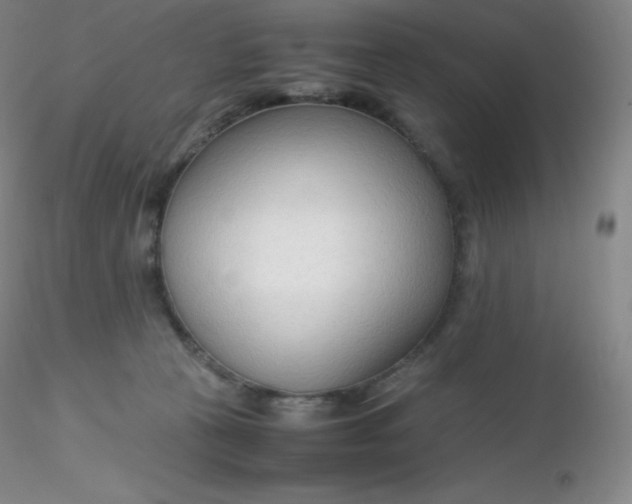 X0000116310273200912211929