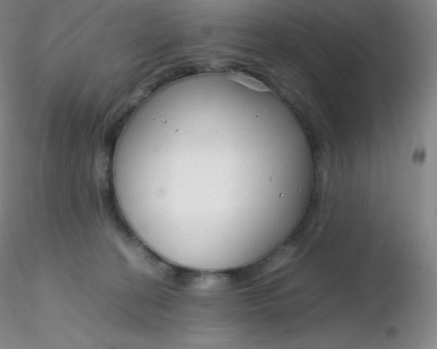 X0000116310274200912211929