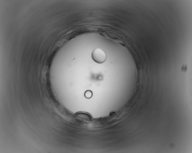 X0000116310275200912211929