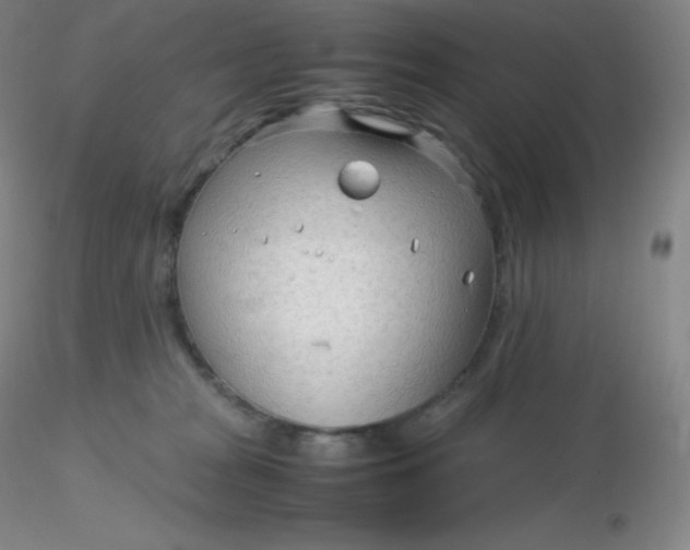 X0000116310277200912211929