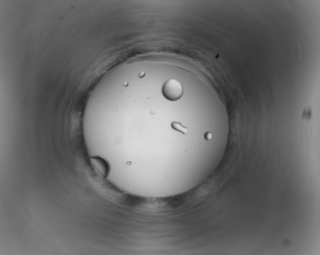 X0000116310278200912211929