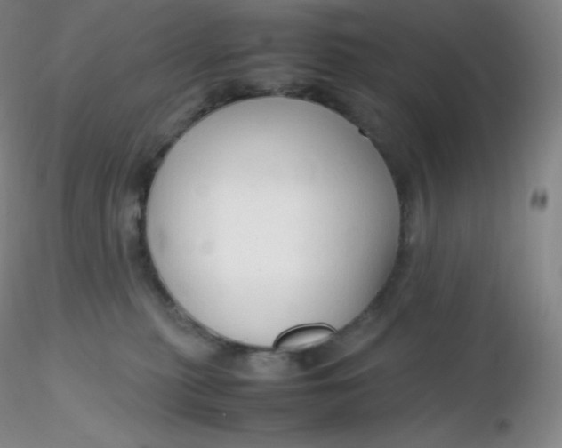 X0000116310279200912211929