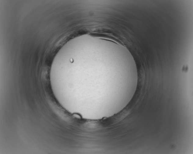 X0000116310280200912211929