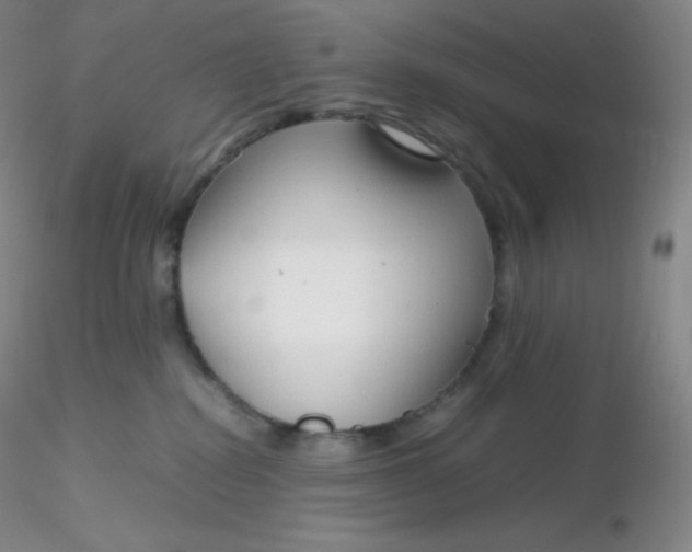 X0000116310282200912211929