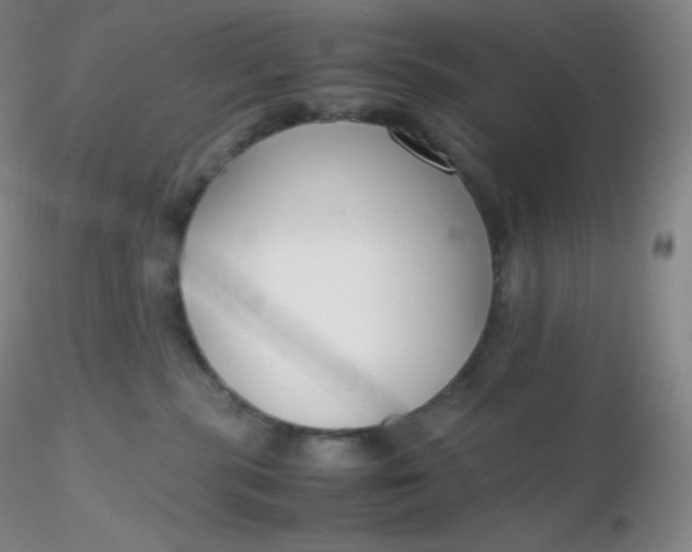 X0000116310283200912211929