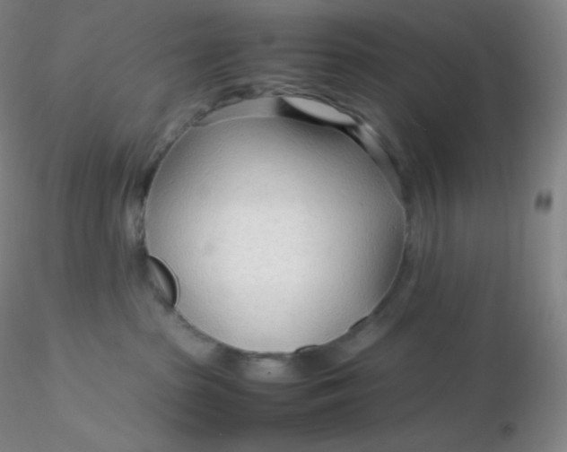 X0000116310285200912211929