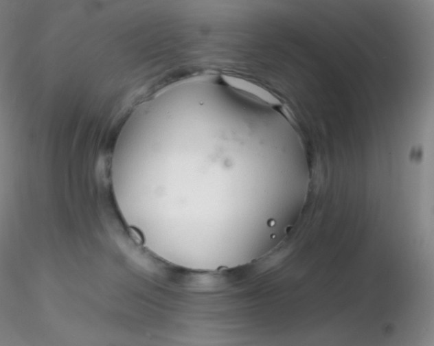 X0000116310286200912211929