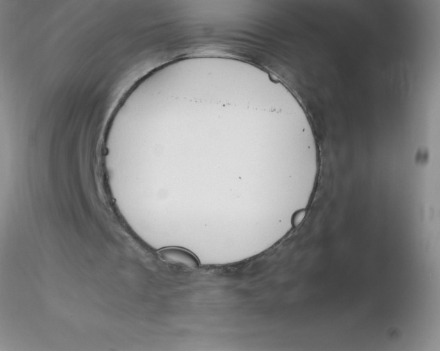 X0000116310289200912211928