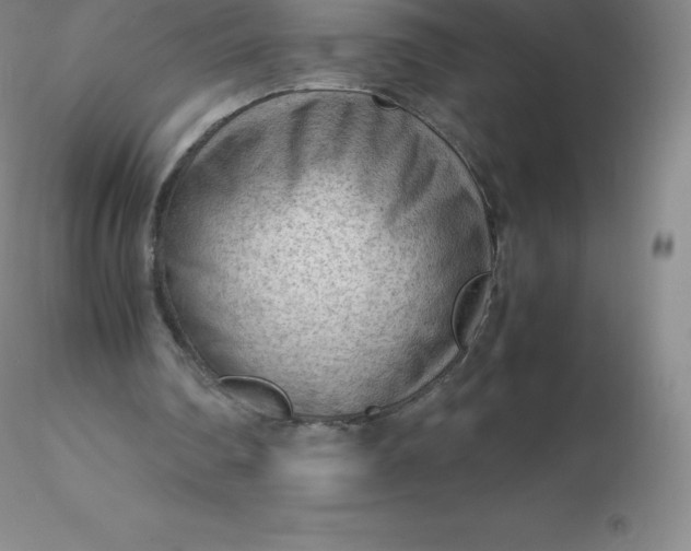 X0000116310290200912211928