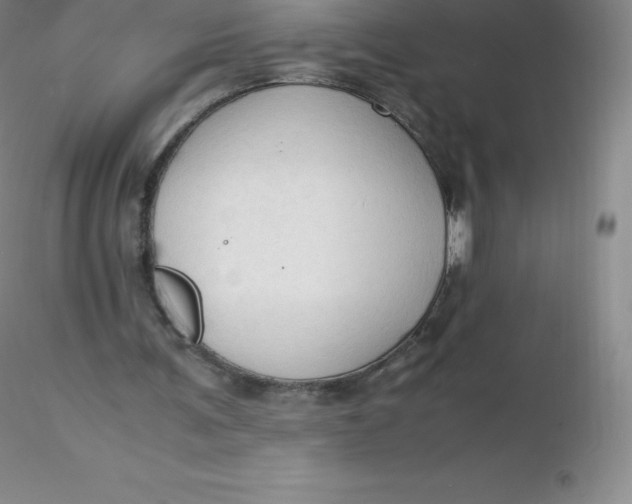 X0000116310291200912211928