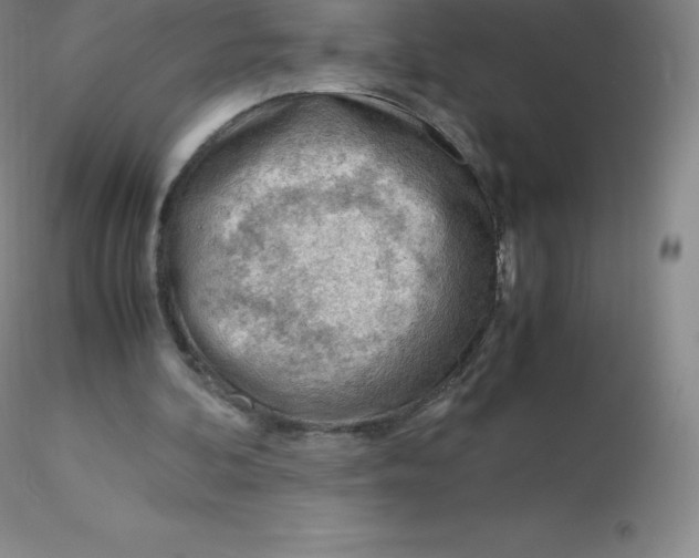 X0000116310292200912211928