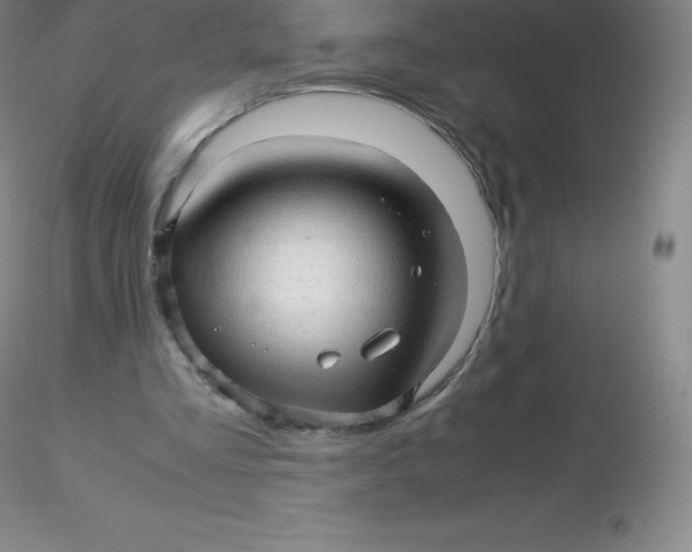 X0000116310293200912211928