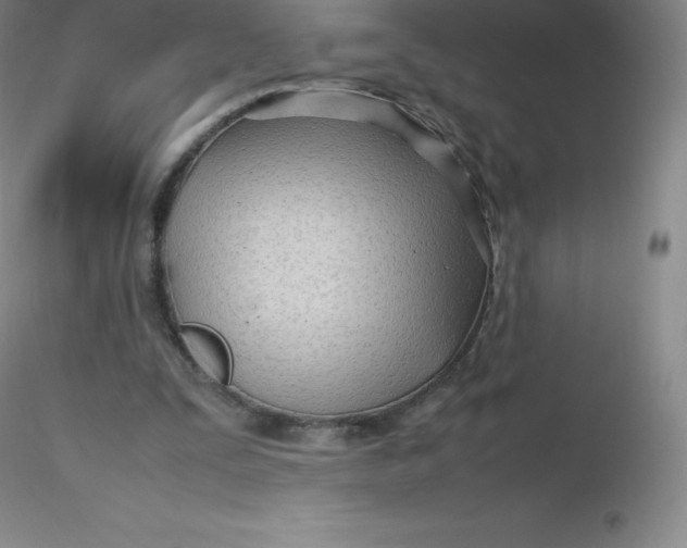 X0000116310295200912211928