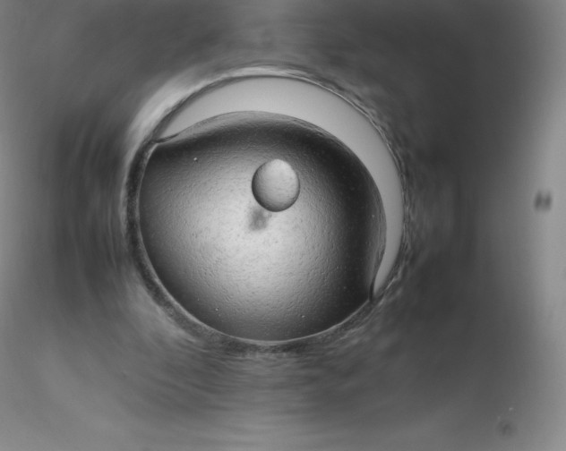 X0000116310296200912211928