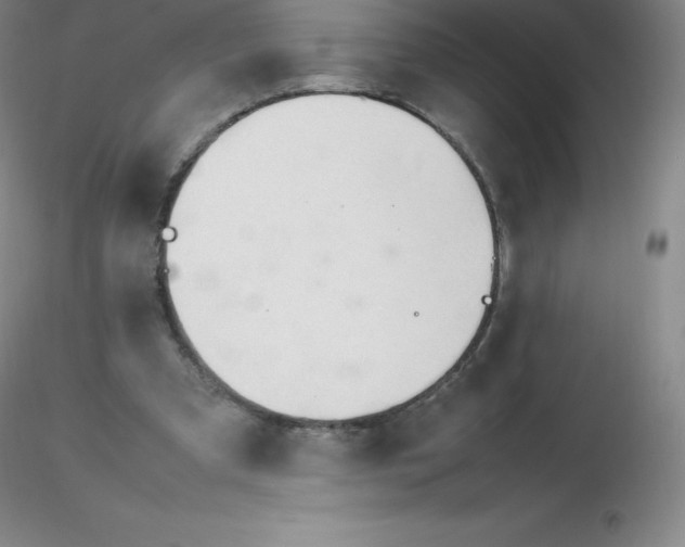 X0000116310297200912211928