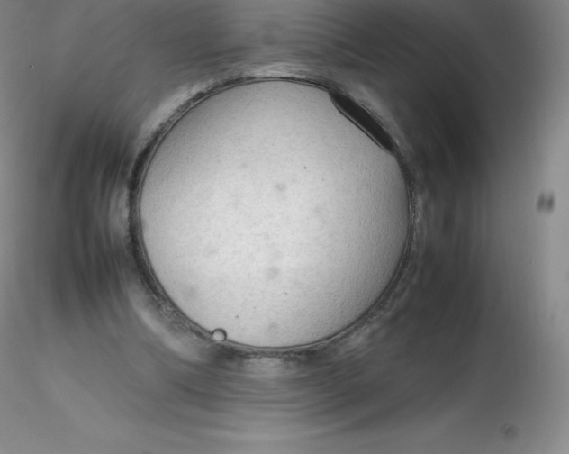 X0000116310298200912211928