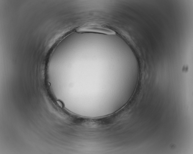 X0000116310299200912211928