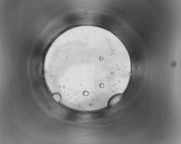 X0000116310301200912211928