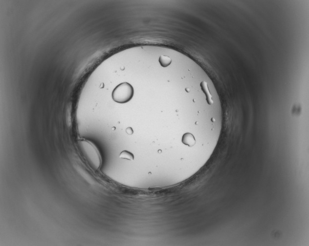 X0000116310302200912211928