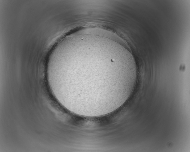 X0000116310303200912211928