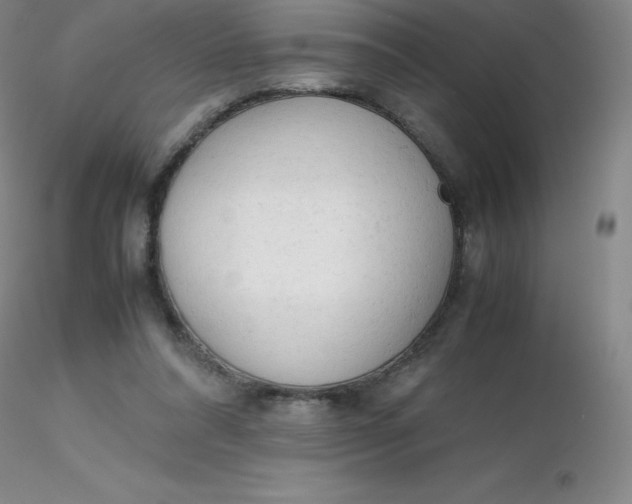 X0000116310304200912211928