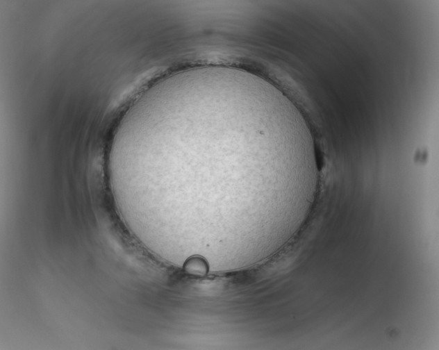 X0000116310306200912211928