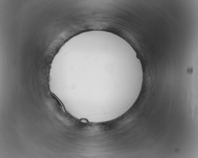 X0000116310307200912211928