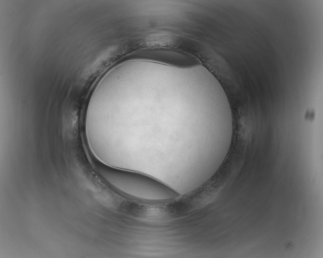 X0000116310308200912211928