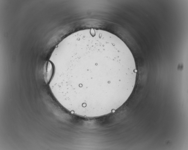 X0000116310309200912211928