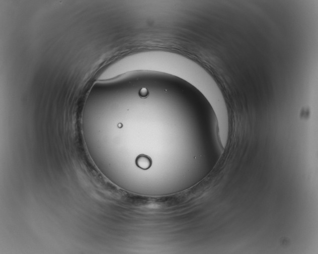 X0000116310312200912211928