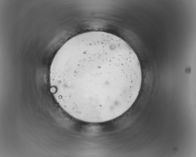 X0000116310313200912211928