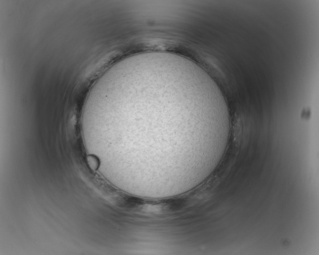 X0000116310314200912211928