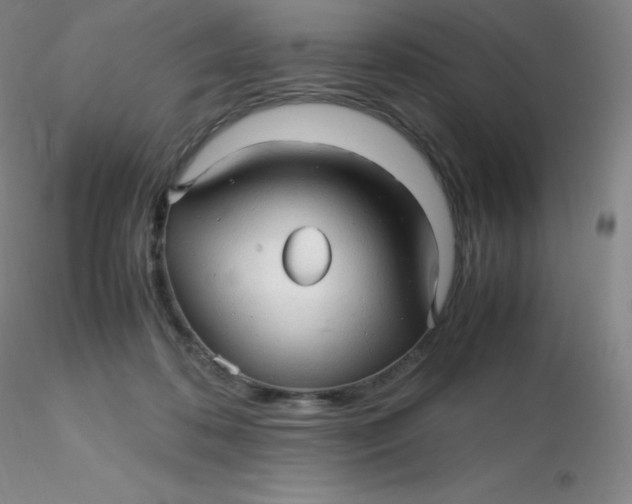 X0000116310316200912211928