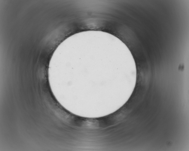 X0000116310317200912211928