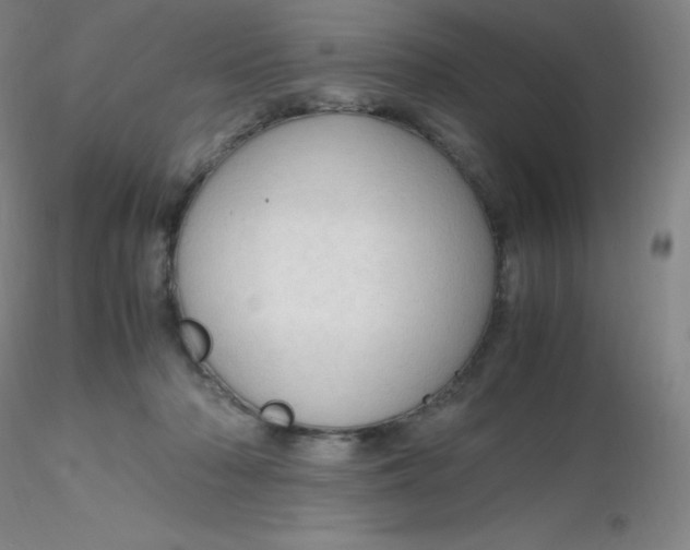 X0000116310318200912211928