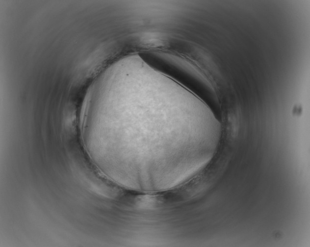 X0000116310320200912211928