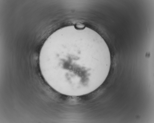 X0000116310321200912211928