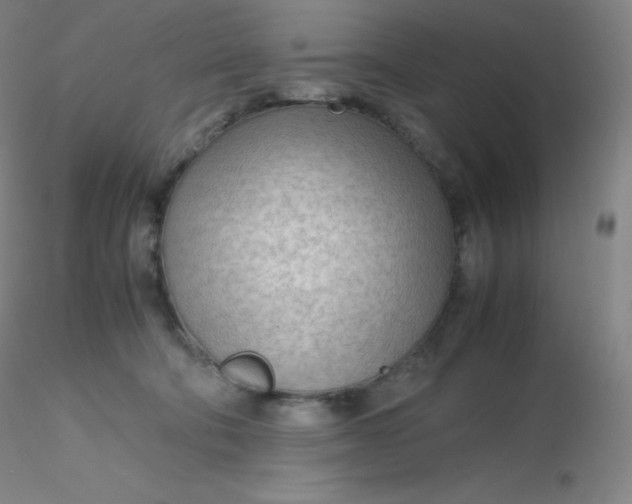 X0000116310322200912211928