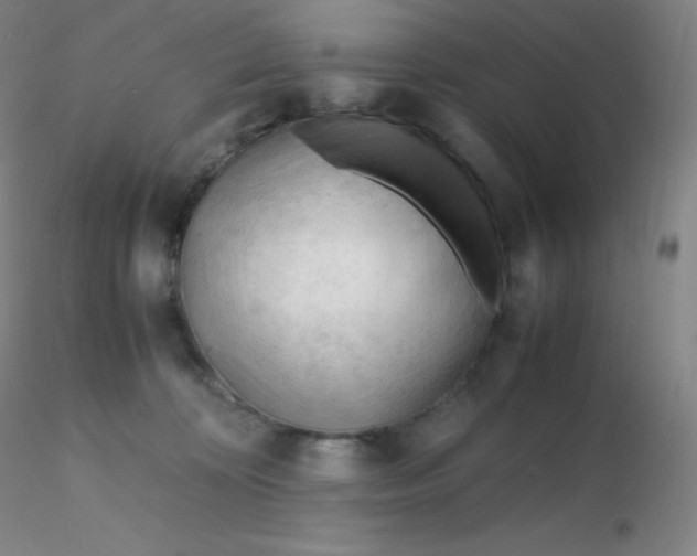 X0000116310324200912211928