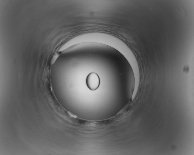 X0000116310325200912211928