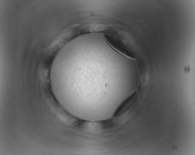 X0000116310327200912211928