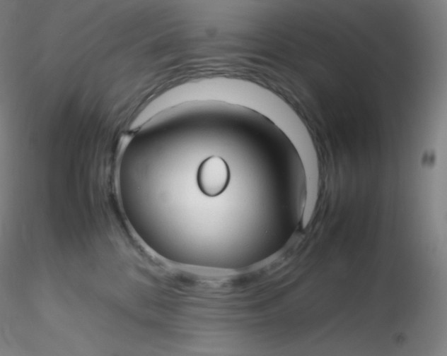 X0000116310328200912211928