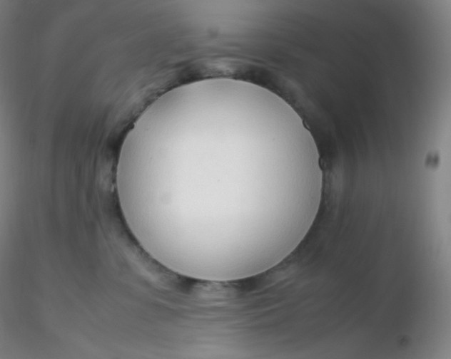 X0000116310331200912211928